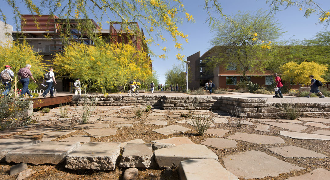 2012ASLA专业奖 通用设计荣誉奖 亚利桑那州大学理工院 Ten Eyck Landscape Architects Inc