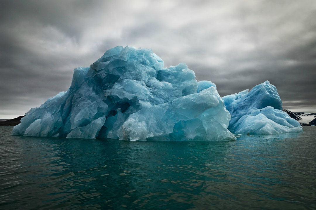 the last iceberg / camille seaman