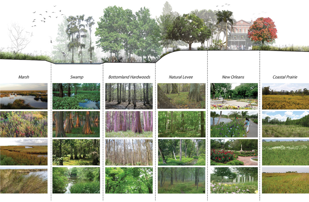 Asla Award Of Analysis And Planning Lafitte Greenway