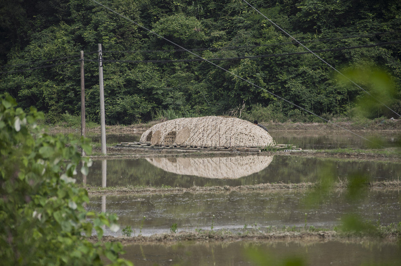 临安县太阳镇双庙村"茧寮"稻鸭共养"模式下的鸭寮,浙江 xing