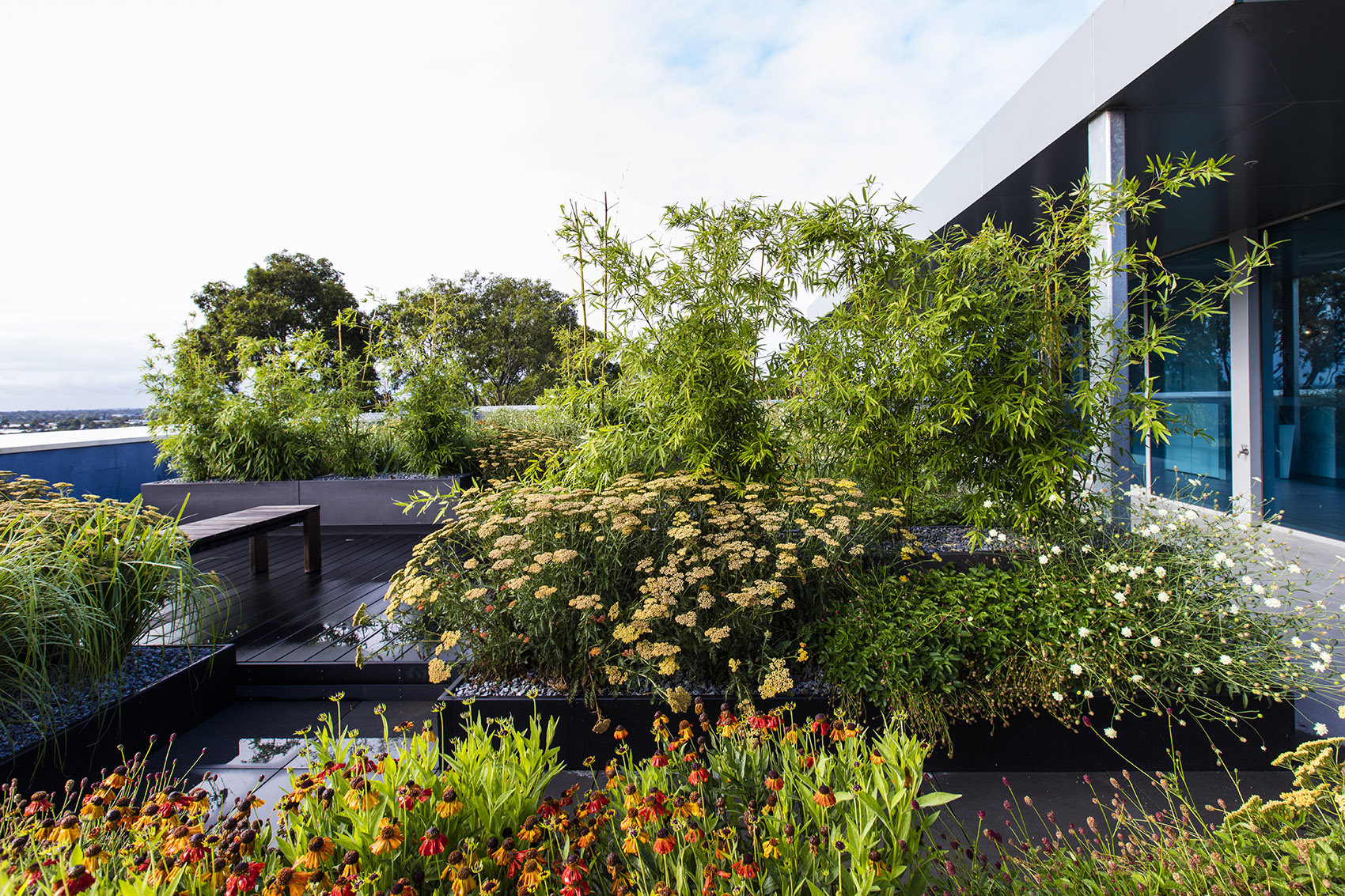pentana solutions ݶ԰,Ĵī / ian barker gardens