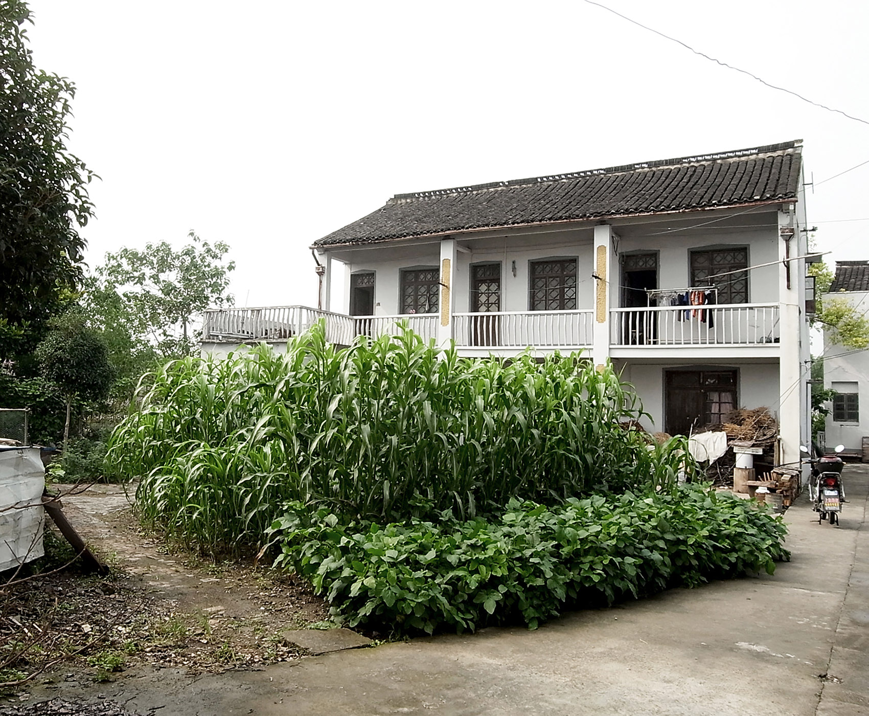 大团别墅,上海 一岸建筑