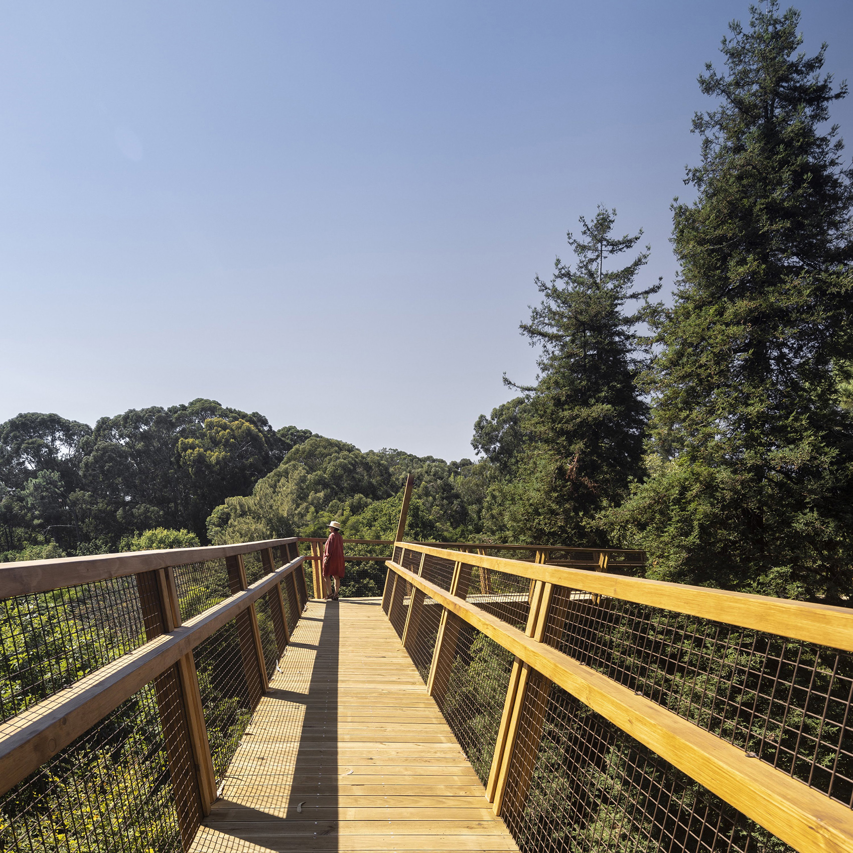 Treetop Walk Serralves By Carlos Castanheira