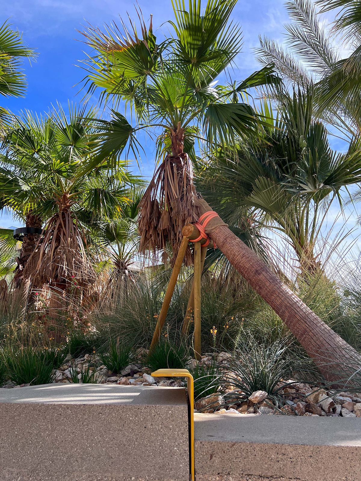 Asla General Design Award Of Excellence Palm Springs Downtown