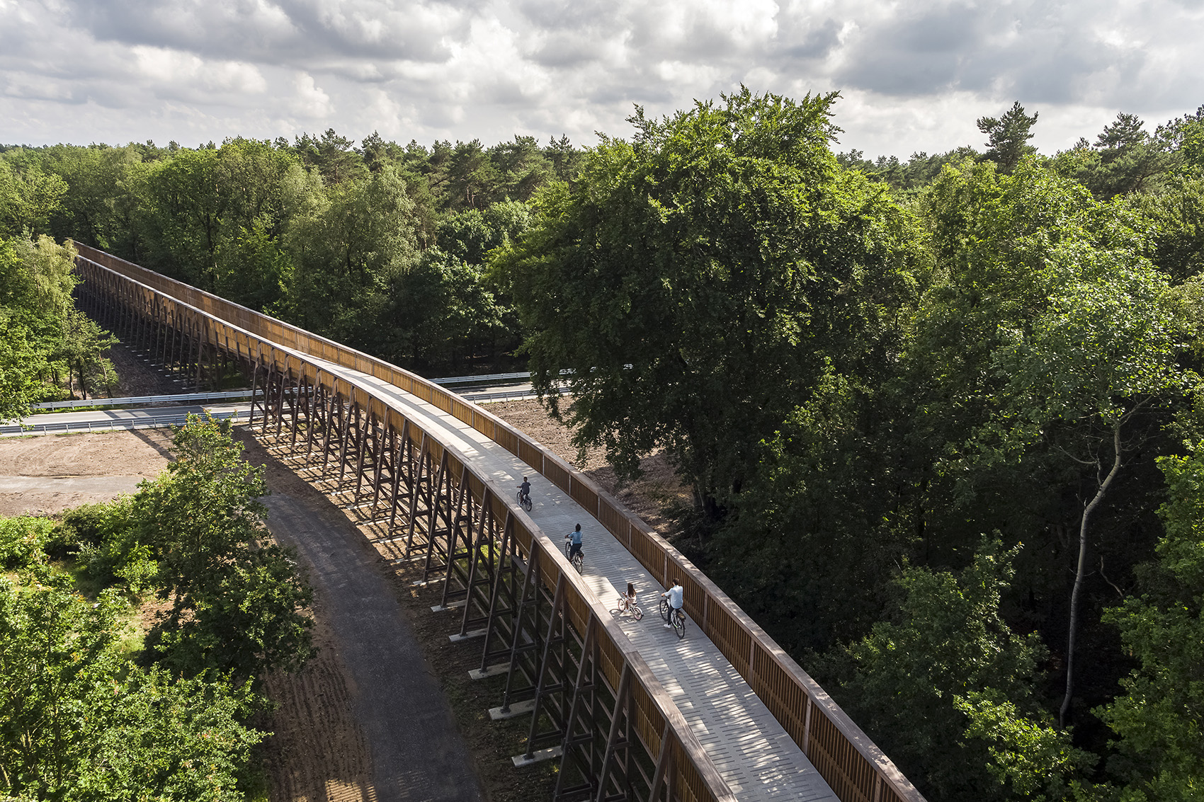 Cycling Through The Heathland In The Hoge Kempen National Park By Maat