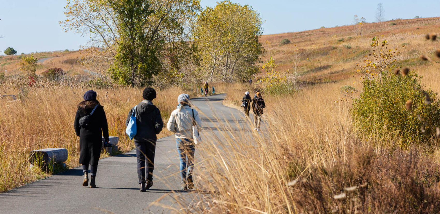 2022 ASLA URBAN DESIGN AWARD OF HONOR Shirley Chisholm State Park