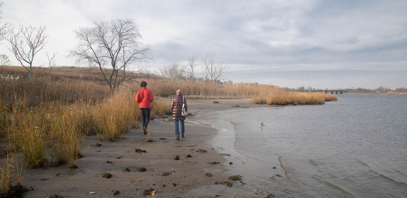 Asla Urban Design Award Of Honor Shirley Chisholm State Park