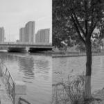 松江新城银河滨水公共空间设计（万科段），上海 / 同济原作设计工作室