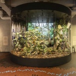 WWAA Designs an Immersive Exhibition Inside the E.Wedel Chocolate Factory
