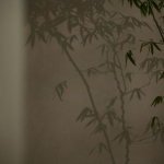 念十二: 复合美学空间，杭州 / 松白空间