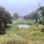 Grønningen-Bispeparken by SLA