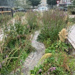 Grønningen-Bispeparken by SLA