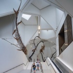 阿布扎比自然历史博物馆，阿联酋 / Mecanoo