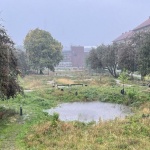 Grønningen-Bispeparken by SLA