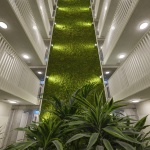 The Martin社区，荷兰 / OMA