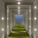 The Martin社区，荷兰 / OMA