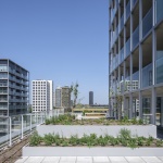The Martin社区，荷兰 / OMA