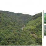 2010ASLA景观专业奖{7}通用设计荣誉奖：南昆山自然保护区十字水生态度假村，广东省 / Edsa