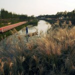 2010ASLA景观专业奖{2}通用设计杰出奖：上海世博后滩公园 / 土人设计
