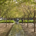 2010ASLA景观专业奖{12}通用设计荣誉奖：莱思大学Brochstein 亭
