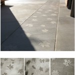 2010ASLA景观专业奖{13}通用设计荣誉奖：努埃瓦小学Nueva School