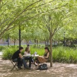 2010ASLA景观专业奖{12}通用设计荣誉奖：莱思大学Brochstein 亭