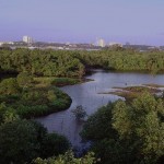 2010ASLA景观专业奖{11}规划与分析荣誉奖：新加坡双溪布格湿地保护区总体规划