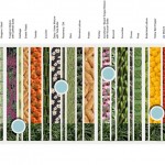2010ASLA景观专业奖{10}通用设计荣誉奖：屋顶的城市农场