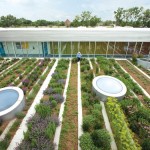 2010ASLA景观专业奖{10}通用设计荣誉奖：屋顶的城市农场