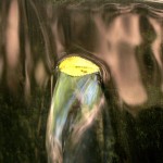 2010ASLA景观专业奖{12}通用设计荣誉奖：莱思大学Brochstein 亭