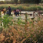 2010ASLA景观专业奖{18}通用设计荣誉奖：天津桥园---适应性调色板 / 土人设计