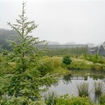 2010ASLA景观专业奖{19}通用设计荣誉奖：纽黑文康涅狄格水处理设施 / Keith LeBlanc Landscape Architectur