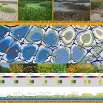 2010ASLA景观专业奖{18}通用设计荣誉奖：天津桥园---适应性调色板 / 土人设计