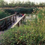 2010ASLA景观专业奖{18}通用设计荣誉奖：天津桥园---适应性调色板 / 土人设计