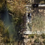 2010ASLA景观专业奖{15}通用设计荣誉奖：安德伍德家族索诺兰景观实验室