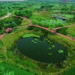 2010ASLA景观专业奖{18}通用设计荣誉奖：天津桥园---适应性调色板 / 土人设计