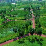 2010ASLA景观专业奖{18}通用设计荣誉奖：天津桥园---适应性调色板 / 土人设计
