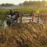 2010ASLA景观专业奖{18}通用设计荣誉奖：天津桥园---适应性调色板 / 土人设计