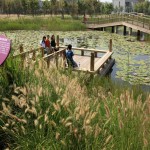 2010ASLA景观专业奖{18}通用设计荣誉奖：天津桥园---适应性调色板 / 土人设计