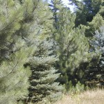 2010ASLA景观专业奖{20}通用设计荣誉奖：剧院疗养地