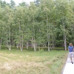 2010ASLA景观专业奖{20}通用设计荣誉奖：剧院疗养地