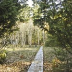 2010ASLA景观专业奖{20}通用设计荣誉奖：剧院疗养地