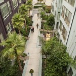 2010ASLA景观专业奖{22}住宅设计荣誉奖：太平洋坎纳公寓Pacific Cannery Lofts