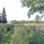 2010ASLA景观专业奖{24}住宅设计荣誉奖：长岛北海住宅 / Rumsey Farber