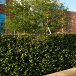 2010ASLA景观专业奖{26}住宅设计荣誉奖：电力住宅 / Hocker Design Group