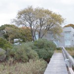2010ASLA景观专业奖{24}住宅设计荣誉奖：长岛北海住宅 / Rumsey Farber