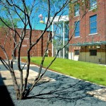 2010ASLA景观专业奖{26}住宅设计荣誉奖：电力住宅 / Hocker Design Group