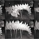 We work for MAD：实习生个人作品辑1