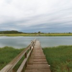 2010ASLA景观专业奖{24}住宅设计荣誉奖：长岛北海住宅 / Rumsey Farber