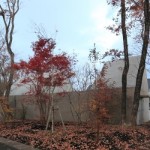 那须之屋，日本 / Kazunori Fujimoto